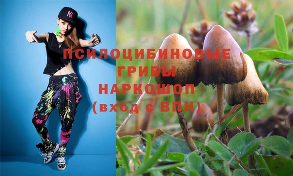 трава Алексин