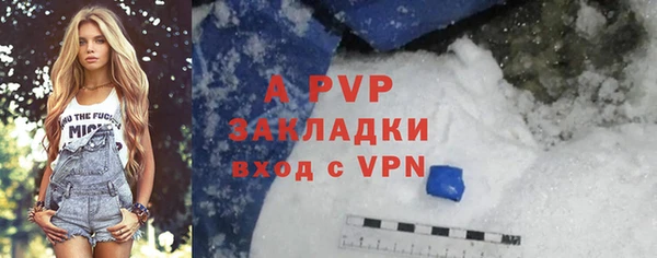 тгк Абаза