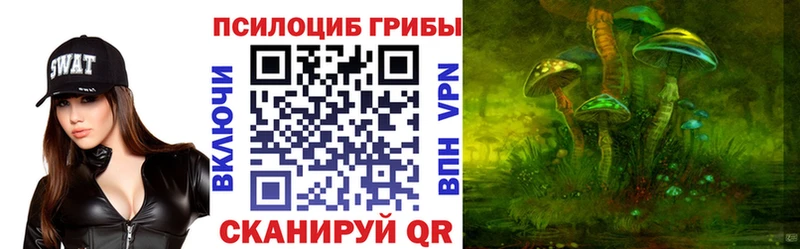 blacksprut ТОР  Новая Ладога  Галлюциногенные грибы мицелий 