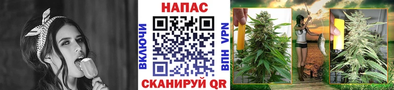 Марихуана OG Kush где купить наркоту Новая Ладога
